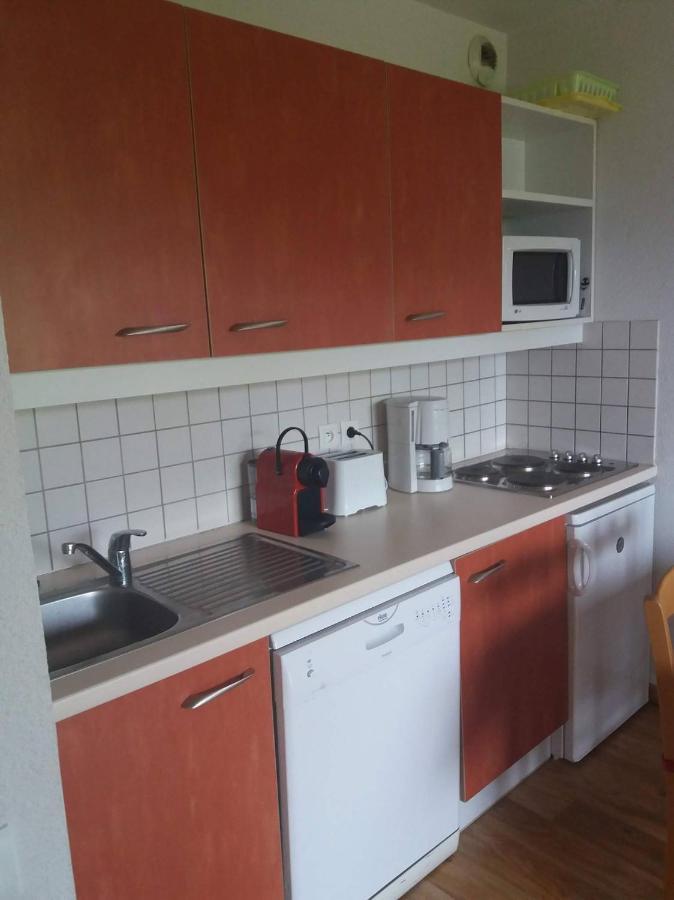 Apartmán Le Hameau Des Ecrins Station 1800 Puy-Saint-Vincent Exteriér fotografie